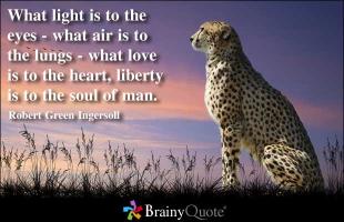 Individual Liberty quote #2