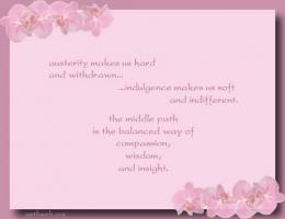 Indulgence quote #2