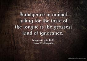 Indulgence quote #2