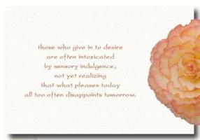 Indulgence quote #2