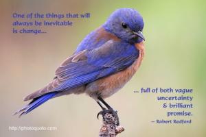 Inevitability quote #2