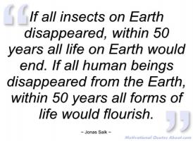 Insects quote #2