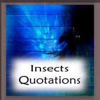 Insects quote #2