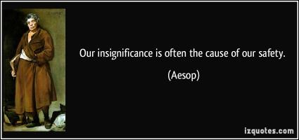 Insignificance quote