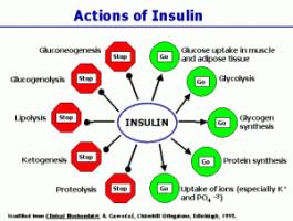 Insulin quote #2