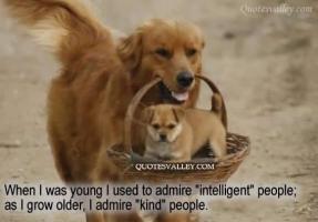 Intelligent People quote #2