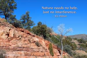 Interference quote #2