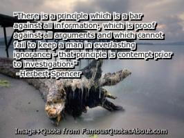 Investigation quote #2