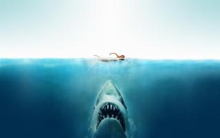 Jaws quote #1