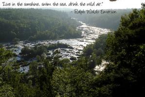Jay Cooke's quote #1
