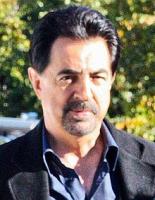 Joe Mantegna's quote