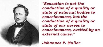 Johannes P. Muller's quote #5