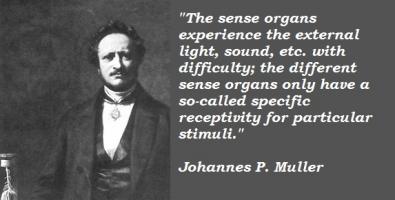 Johannes P. Muller's quote #5
