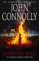 John Connolly's quote #6