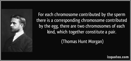 John Hunt Morgan's quote #2