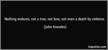 John Knowles's quote #4