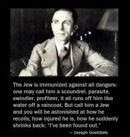 Joseph Goebbels's quote #2