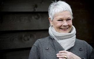 Judi Dench quote #2