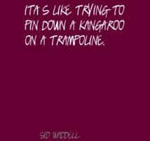 Kangaroo quote