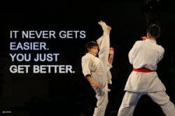 Karate quote #2