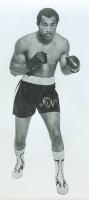 Ken Norton's quote #1