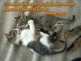 Kittens quote #2