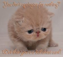 Kittens quote #2