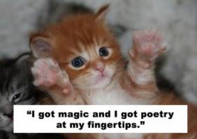 Kittens quote #2