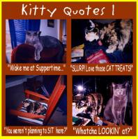 Kitty quote #1