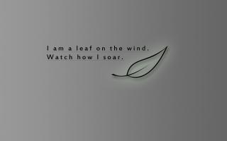 Kool quote #1