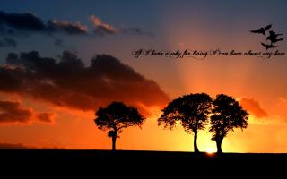 Landscapes quote #1