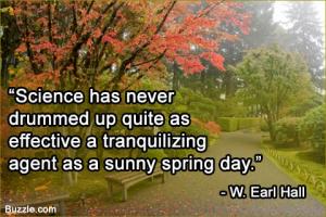 Large Extent quote #2