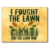 Lawn quote #1