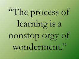 Learning Process quote #2