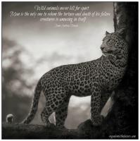 Leopard quote #1