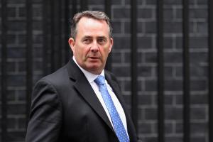 Liam Fox's quote #3
