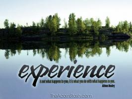 Life Experiences quote #2