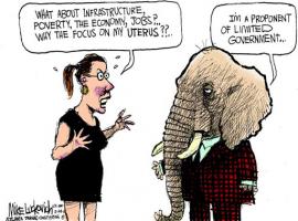 Limited Government quote #2