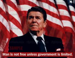 Limited Government quote #2