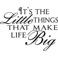 Little Thing quote #2