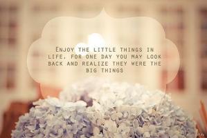 Little Thing quote #2