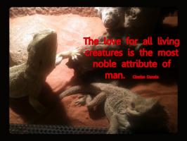 Living Creature quote #2