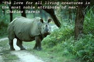 Living Creatures quote #2