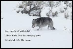 Lone Wolf quote #2