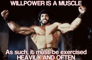 Lou Ferrigno's quote