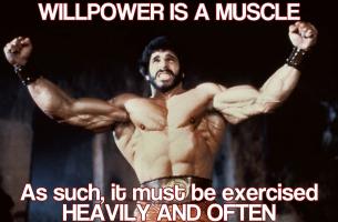 Lou Ferrigno's quote