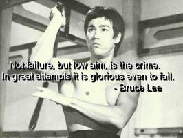 Low Aim quote #2