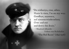 Manfred von Richthofen's quote