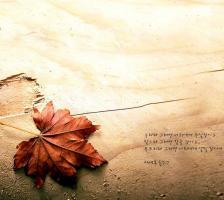 Maple quote #1