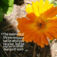 Margaret Weis's quote #4